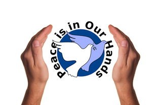 爱游戏app活动-决赛教练战术对决吸引全球关注，比赛中教练挑战是什么意思  第2张